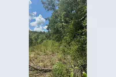 Sw Coles Court, Fort White, FL 32038 - Photo 18