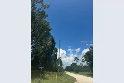 Sw Coles Court, Fort White, FL 32038 - Photo 28
