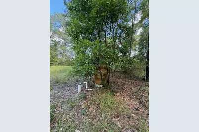 Sw Coles Court, Fort White, FL 32038 - Photo 10