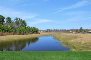 17421 Crisp Apple Ln, Land O Lakes, FL 34638 - Photo 8