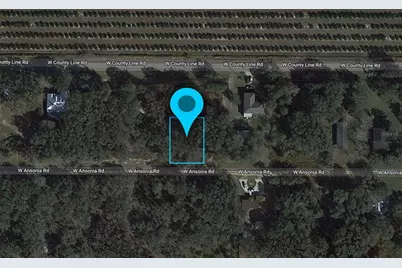 3180 W Ansonia Road, Avon Park, FL 33825 - Photo 2