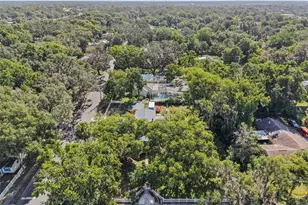 1048 N Grandview St, Mount Dora, FL 32757 - Photo 42