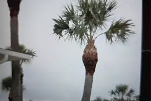 1935 Conway Dr, Orlando, FL 32812 - Photo 6