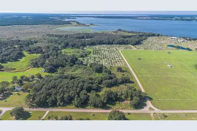 Yale Hammock Road, Umatilla, FL 32784 - Photo 4