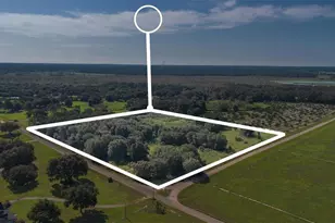Yale Hammock Rd, Umatilla, FL 32784 - Photo 1