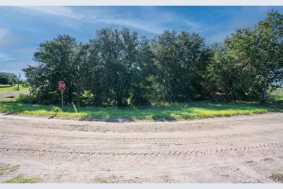 Yale Hammock Road, Umatilla, FL 32784 - Photo 8