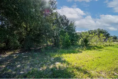 Yale Hammock Road, Umatilla, FL 32784 - Photo 20