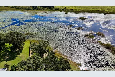 7089 Number Two Road, Yalaha, FL 34797 - Photo 28