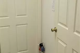 17076 SE 115th Terrace Rd, Summerfield, FL 34491 - Photo 54