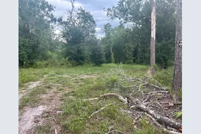 00 SW 158th Lane, Dunnellon, FL 34432 - Photo 1