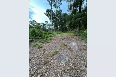Se 173rd Street, Summerfield, FL 34491 - Photo 12