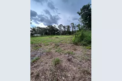 Se 173rd Street, Summerfield, FL 34491 - Photo 10