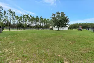 3430 Conniff Rd, Groveland, FL 34736 - Photo 38