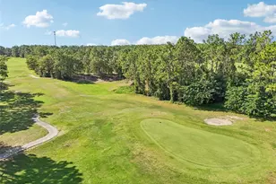 31 Lake Diamond Blvd, Ocala, FL 34472 - Photo 50