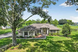 7729 Lake Andrea Cir, Mount Dora, FL 32757 - Photo 4