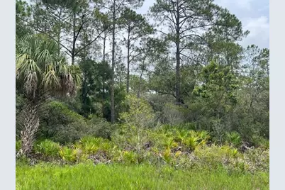 11297 W Cornflower Dr, Crystal River, FL 34428 - Photo 4