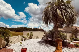 4928 Heron Run Cir Circle, Leesburg, FL 34748 - Photo 8