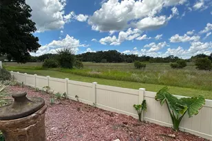 4928 Heron Run Cir Circle, Leesburg, FL 34748 - Photo 12