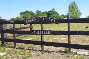 9989 S Buckskin Ave, Floral City, FL 34436 - Photo 2