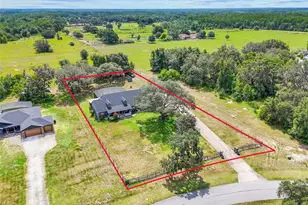 6024 Ocilla Loop, Clermont, FL 34714 - Photo 50