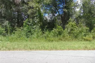 4766 SW 125th Rd, Webster, FL 33597 - Photo 1