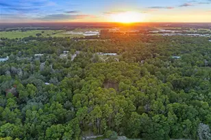 1467 Cr 543A, Sumterville, FL 33585 - Photo 56