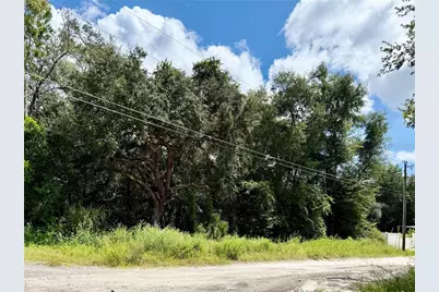 Lot 1 Palm Drive, Eustis, FL 32736 - Photo 2