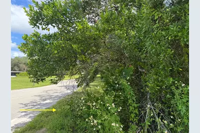 Lot 1 Palm Drive, Eustis, FL 32736 - Photo 12