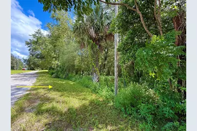 Lot 1 Palm Drive, Eustis, FL 32736 - Photo 1
