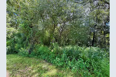 Lot 1 Palm Drive, Eustis, FL 32736 - Photo 6