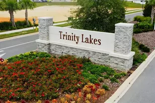 6973 Wilson Pasture Ave, Groveland, FL 34736 - Photo 38