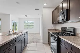 9768 Pepper Tree Trl, Wildwood, FL 34785 - Photo 14