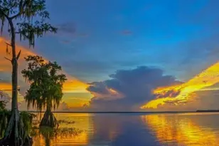 450 Kemper Ave, Lake Placid, FL 33852 - Photo 4