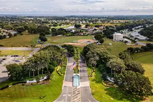 27313 Falcon Feather Way, Leesburg, FL 34748 - Photo 42