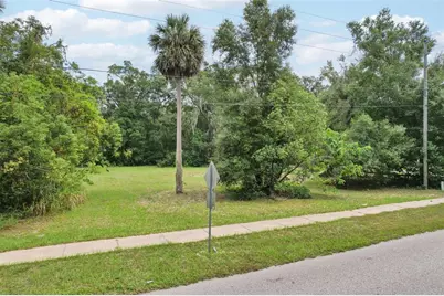 847 Palmetto Street, Eustis, FL 32726 - Photo 2