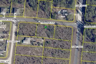 13101 Thrasher Ave, Weeki Wachee, FL 34614 - Photo 1