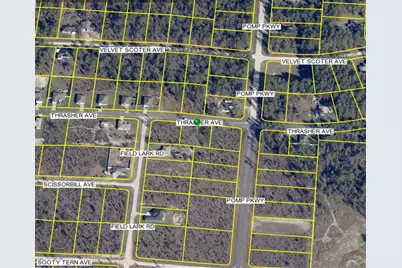 13101 Thrasher Avenue, Weeki Wachee, FL 34614 - Photo 2