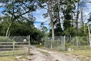 32741 Pine Rd, Eustis, FL 32736 - Photo 2