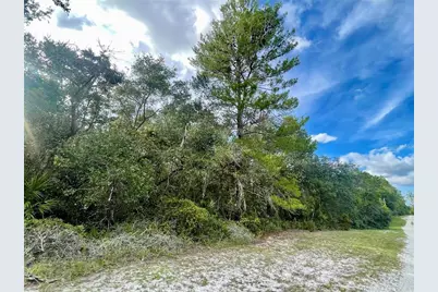 32741 Pine Road, Eustis, FL 32736 - Photo 24