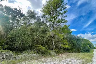 32741 Pine Rd, Eustis, FL 32736 - Photo 24