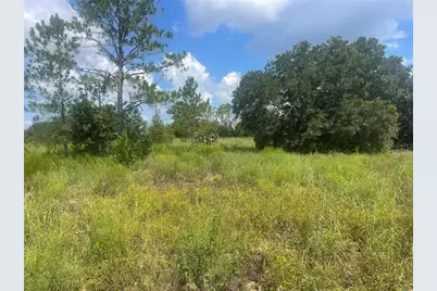 Tbd Keene Road, Umatilla, FL 32784 - Photo 2