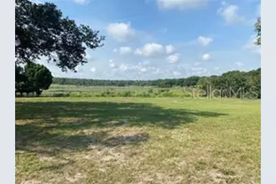 County Road 48, Yalaha, FL 34797 - Photo 2