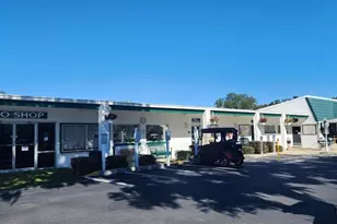 30 Seminole Path, Wildwood, FL 34785 - Photo 24