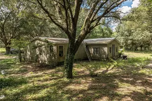 2946 SE 21st Ave, Sumterville, FL 33585 - Photo 4