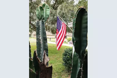 1208 Cr 463B, Lake Panasoffkee, FL 33538 - Photo 40