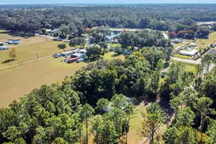 42312 Webster St, Altoona, FL 32702 - Photo 28