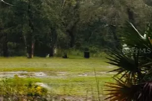 4547 SW 128th Pl, Webster, FL 33597 - Photo 6