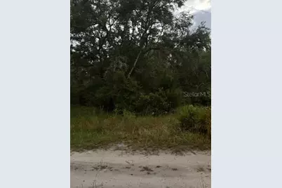 4547 SW 128th Place, Webster, FL 33597 - Photo 8