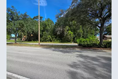 Tbd Highway 42, Summerfield, FL 34491 - Photo 8