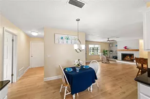 2915 Cocovia Way, Leesburg, FL 34748 - Photo 16